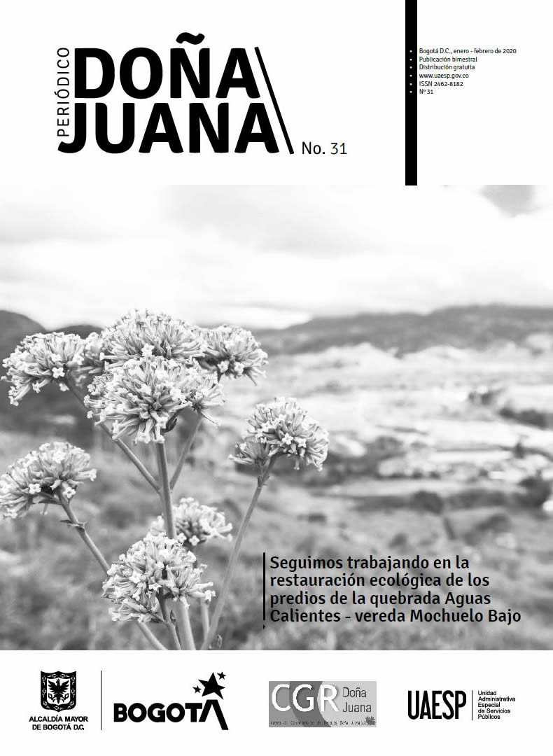 Periódico Doña Juana 31