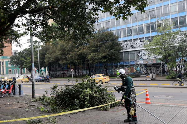  Operario de aseo realizando poda de árbol.