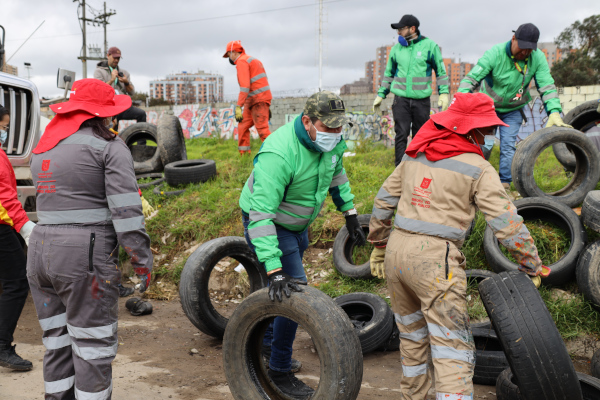 Colaboradores del Distrito recogiendo llantas.