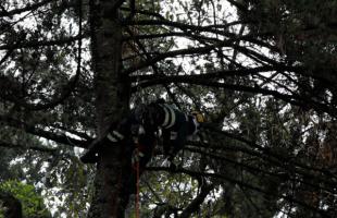 Operario cortando las ramas que obstruyen el cono lumínico. 