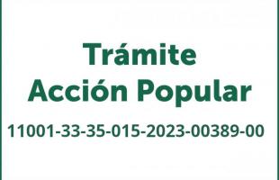 Imagen Tramite ACCION POPULAR N° 11001-33-35-015-2023-00389-00